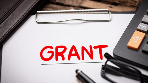 In the News: Grants With November Deadlines and More From $5,000 to $100K