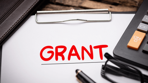 In the News: Grants With November Deadlines and More From $5,000 to $100K