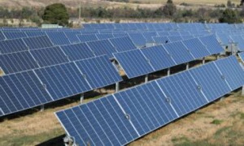 50 Clean Tech Firms Call for Millions of New Solar Panels, Batteries in Ambitious 5-Year Net Zero Plan