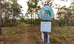 Charles H. Bronson State Forest is a hidden gem in Central Florida