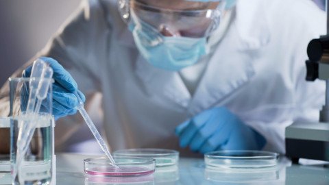 Scientists Create Synthetic Human Embryos without Sperm or Eggs