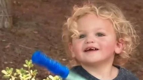 Toddler Followed a Trail of Bubbles Right to a Missing 82-Year-Old