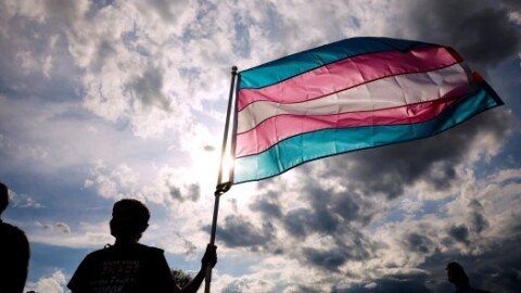 The Addled Activist Mind