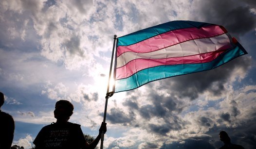 The Addled Activist Mind