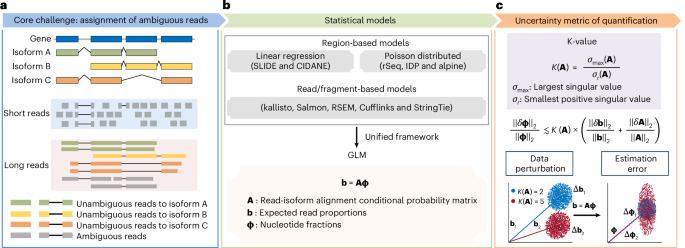 Improving gene isoform quantification with miniQuant