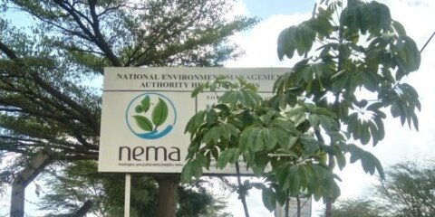 NEMA Shuts Down Over 200 Businesses in Crackdown