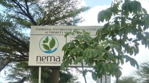 NEMA Shuts Down Over 200 Businesses in Crackdown