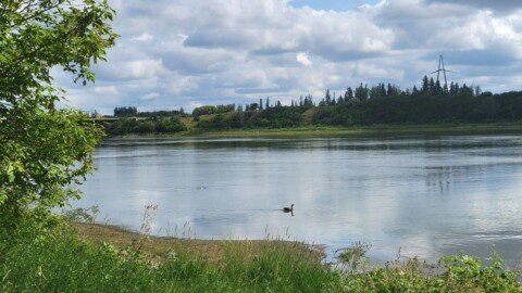 Saskatoon’s national urban park public engagement begins in July