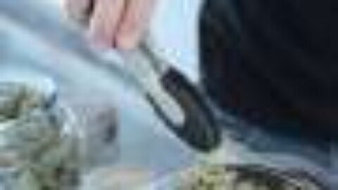 Cannabis use linked to doubled risk of cardiovascular disease death