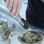 Cannabis use linked to doubled risk of cardiovascular disease death