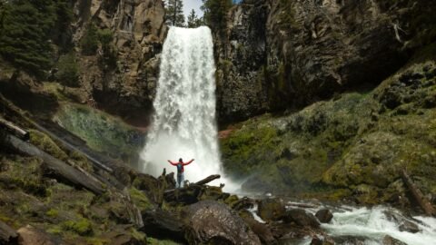 The wild is a sanctuary