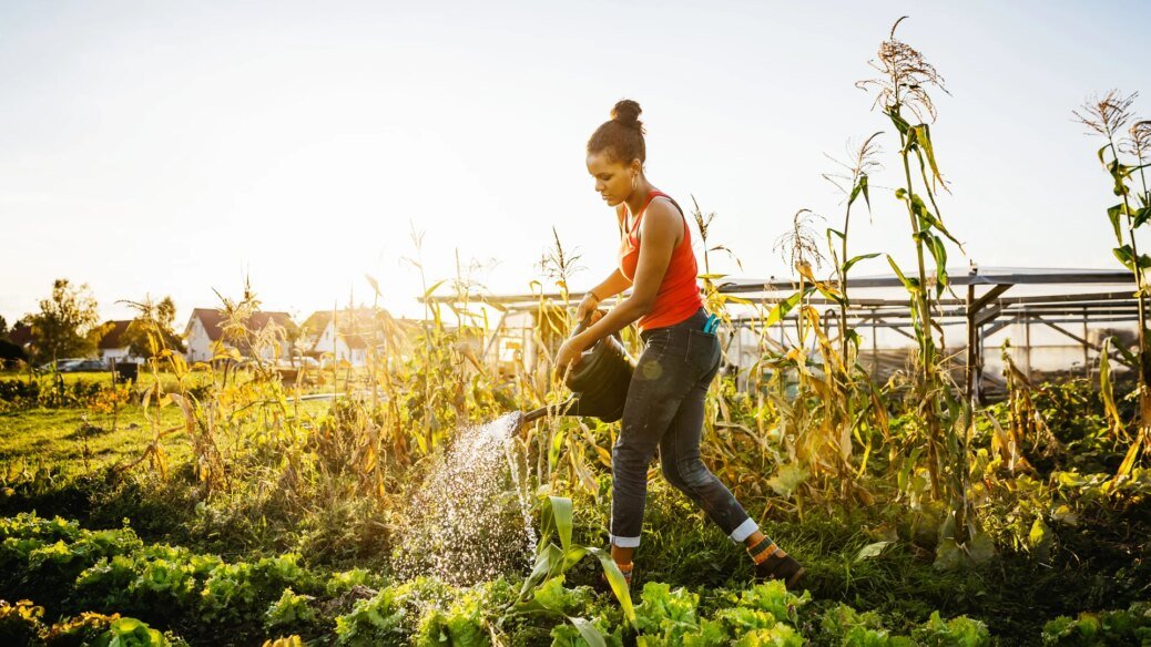 11 Tough Business Lessons Inspired by Successful Gardening