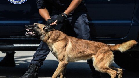 Malaysia on edge as police hunt armed robbery suspect amid surge in shootings