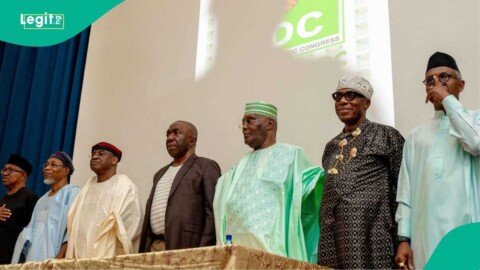 2027 election: Primate Ayodele reveals fresh prophecy on ADC coalition, see details