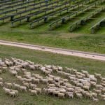 Pension fund APG invests AU$1 billion in Octopus Australia’s renewables platform