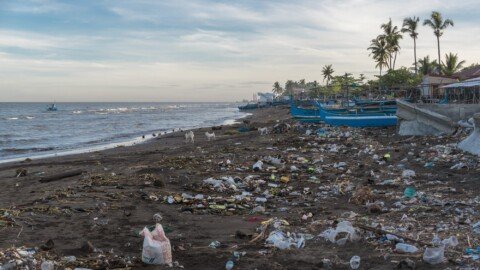 As plastics treaty talks enter the final round, here’s what to expect