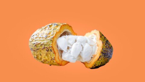 Nestlé invents novel cocoa technique amid chocolate crisis