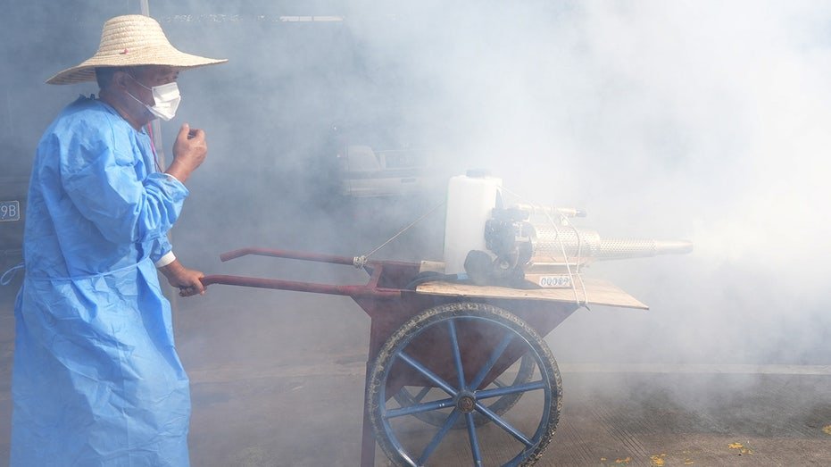 CDC warns of ‘enhanced’ virus risk for travelers amid outbreak spread by mosquitoes