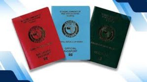 Enugu Orders Ex-Appointees To Return Their Official, Diplomatic Passports