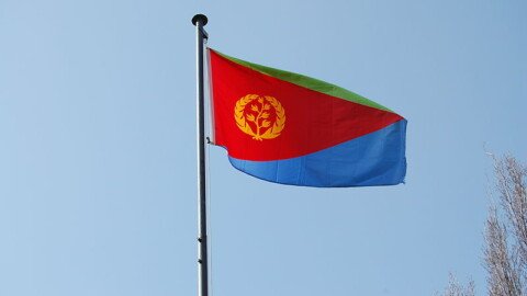 Egypt delivers medical aid to Eritrea