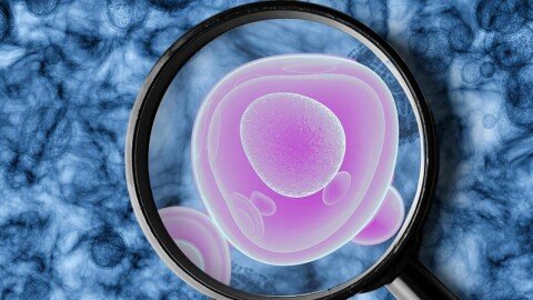 Life-Saving Breast Cancer Drug Has a Rare but Serious Side Effect