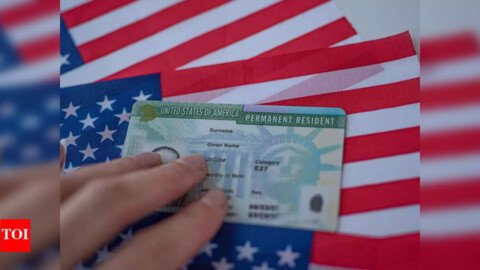 Explained: From OPT to EB-5, how Indian students are bypassing H-1B hurdles for quicker US residency