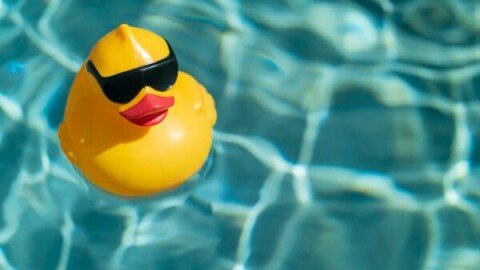 Stuck on a problem? Talking to a rubber duck might unlock the solution
