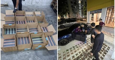 ICA foils attempt to smuggle 9,200 e-vaporiser pods declared as power banks, 25-year-old Singaporean man arrested, Singapore News