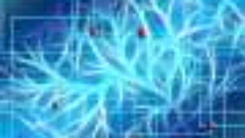 Psilocybin targets brain circuits to relieve chronic pain and depression, study suggests