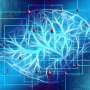 Psilocybin targets brain circuits to relieve chronic pain and depression, study suggests