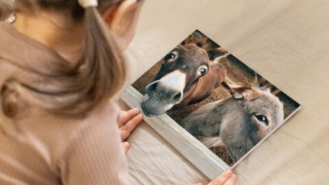 10 Genius Crafts for Children Using Your Own Photos (So Easy, It’s Brilliant!)