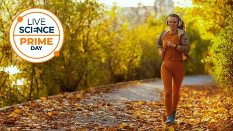 Bored of waiting for Black Friday fitness deals? Us too! Here are 7 discounts for those who can’t wait