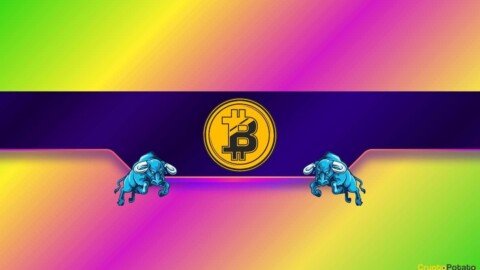 Is Bitcoin Ready to Break Out? Key Level to Watch Now