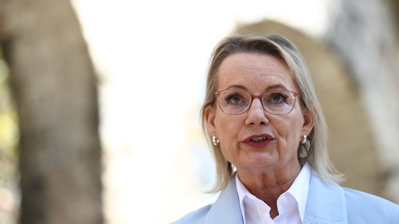 Sussan Ley tries to turn tables on government over controversial environment bill