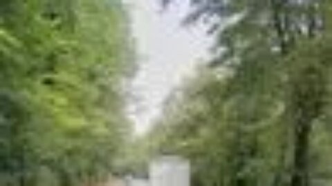 A6 closed in Buxton due to concerns about trees near the road