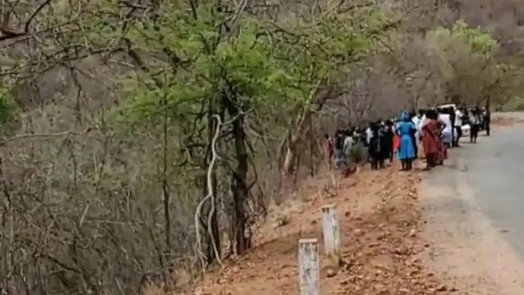 A Mother’s Tragic End: Elephant Tramples Kariba Woman In Front Of Her Children